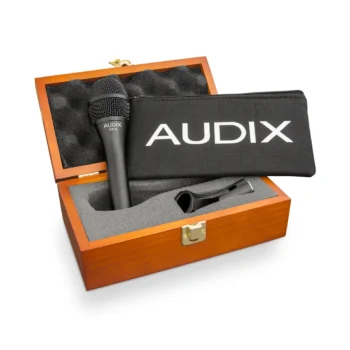 AUDIX VX10