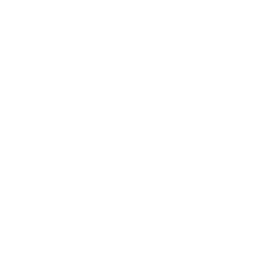 Black Lion